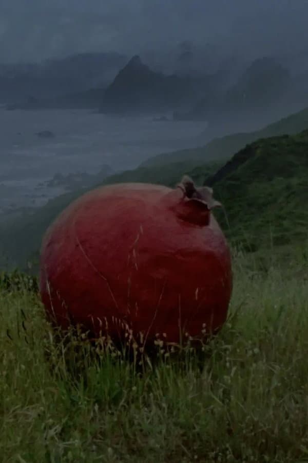 what does it feel like to live inside of a pomegranate?
