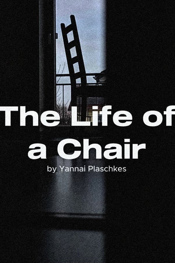The Life of a Chair