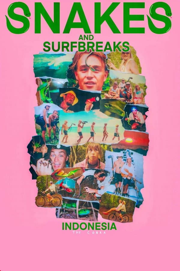 Snakes and Surf Breaks