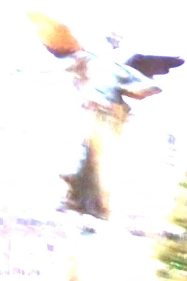 Know Who You Are At Every Age