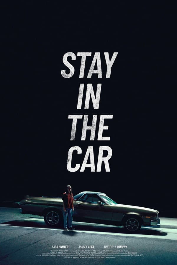 Stay in the car