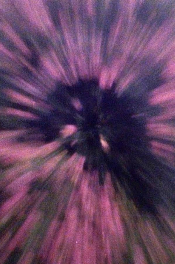 K (in the manner of a camellia)