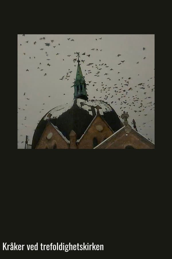 Crows at Trinity Church