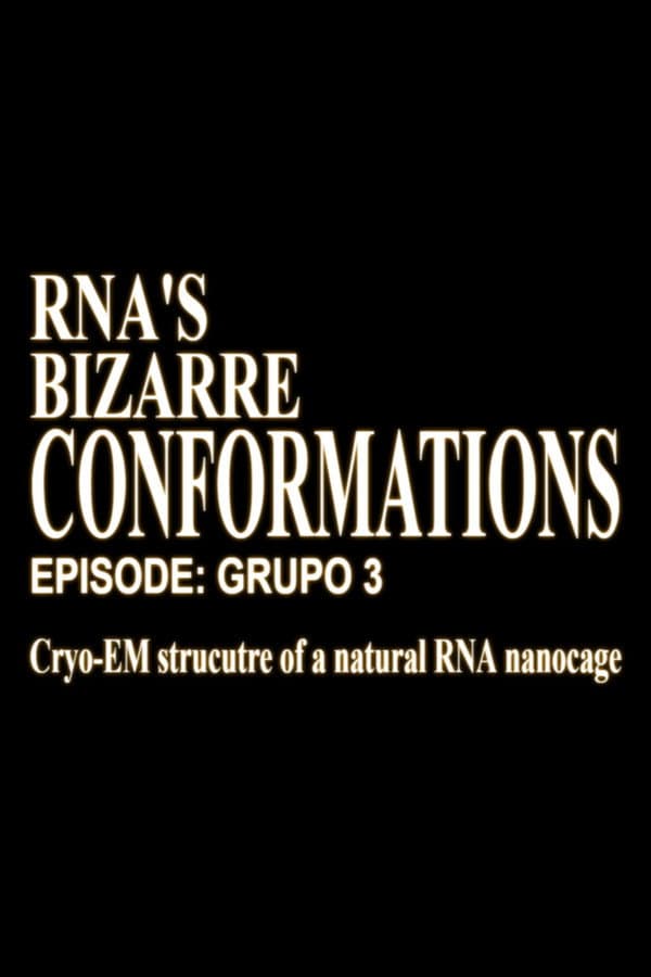 RNA'S Bizarre Conformations