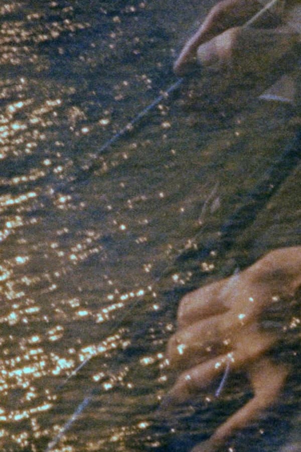 Practice Towards Light